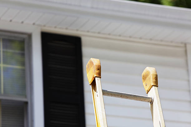 Best Carpet Removal and Disposal  in Mims, FL